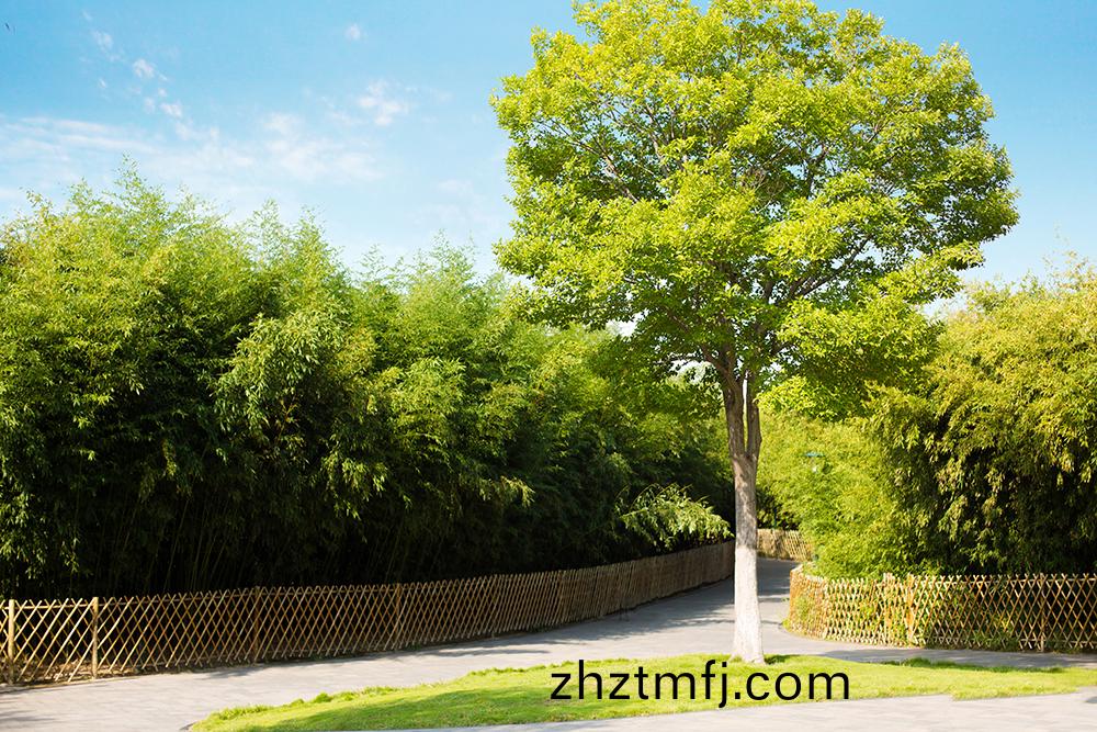 濰(wei)坊市(shi)植物(wu)園景區養(yang)護工(gong)